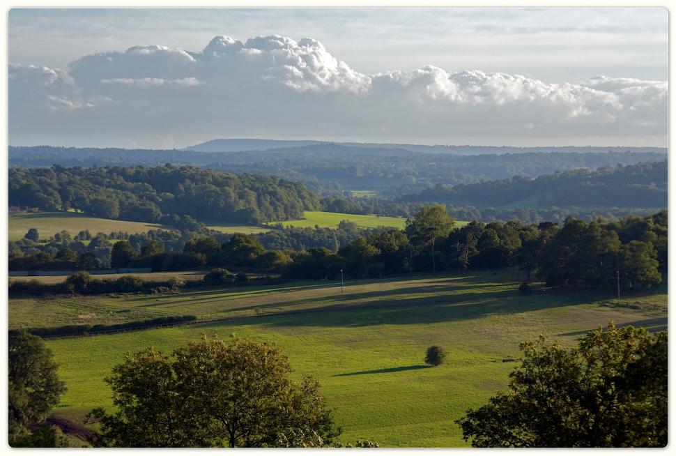 The Surrey Hills from Newlands Corner (CC BY-ND 2.0 licence by DavidGeen:Flickr)