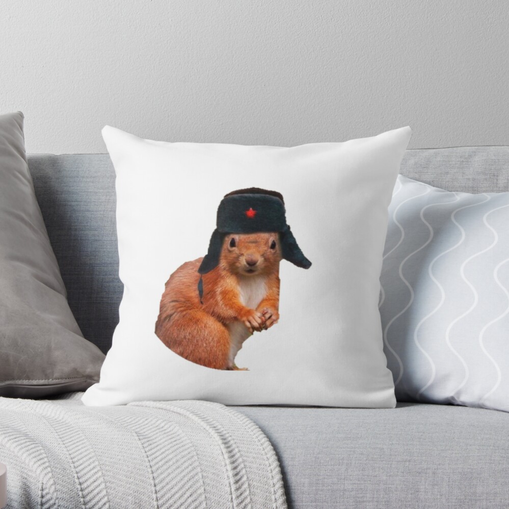 https://road.cc/wp-content/uploads/roadcc/throwpillow,small,1000x-bg,f8f8f8-c,0,200,1000,1000.jpg